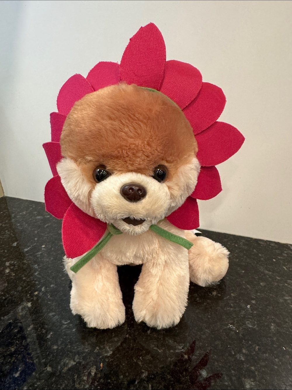 Boo The Worlds Cutest Dog by Gund Plush Stuffed Toy. Size 11”
